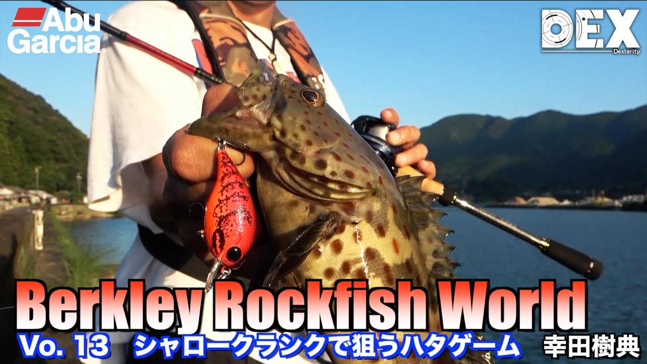 クランクベイトでハタゲーム　バイトシーンがまる見え　Berkley Rockfish World Vo. 13