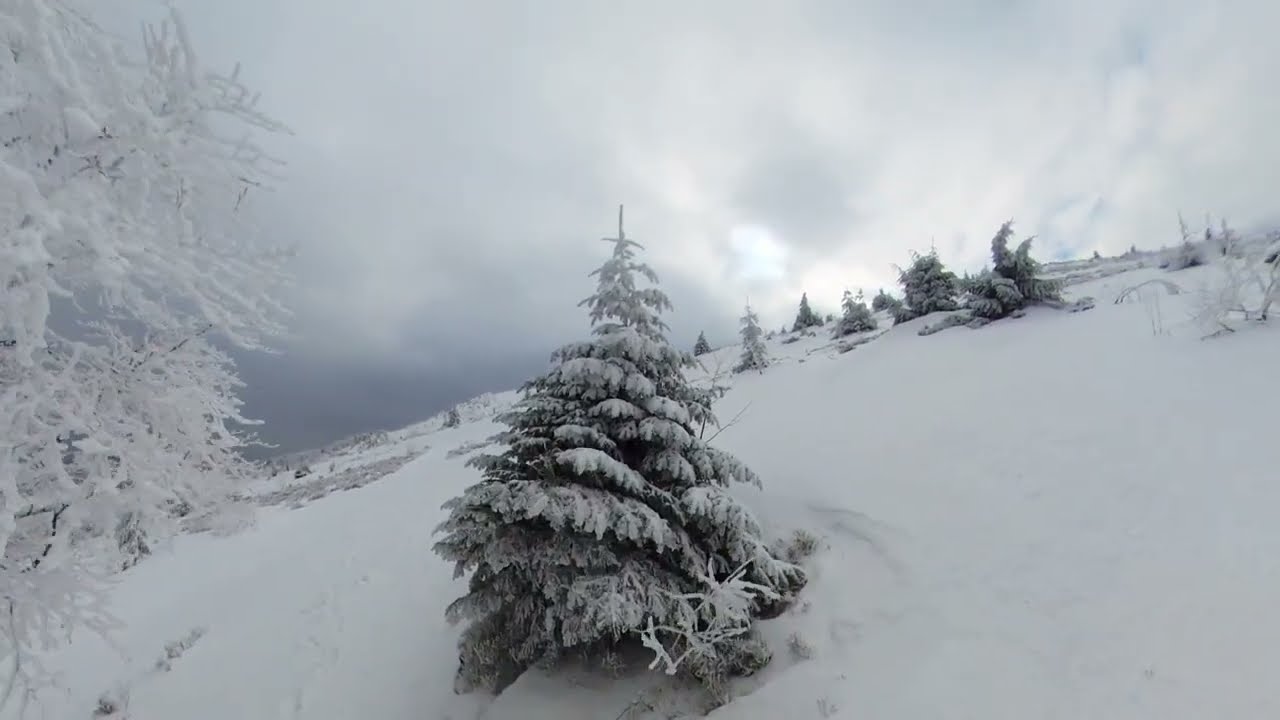 Pikuj Ukraina @luka-m