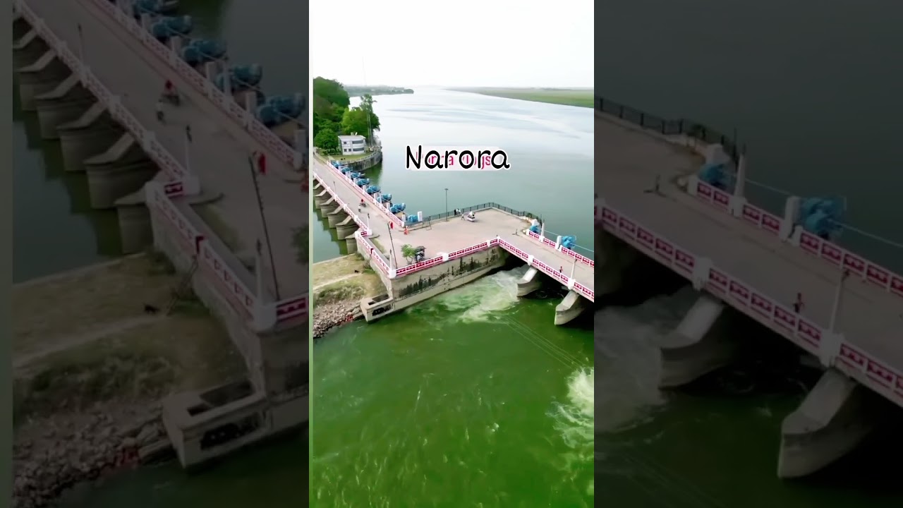 #narora #nature #narora gangaji  भोल नाथ #song नरोरा घाट वीडियो  Short  video
