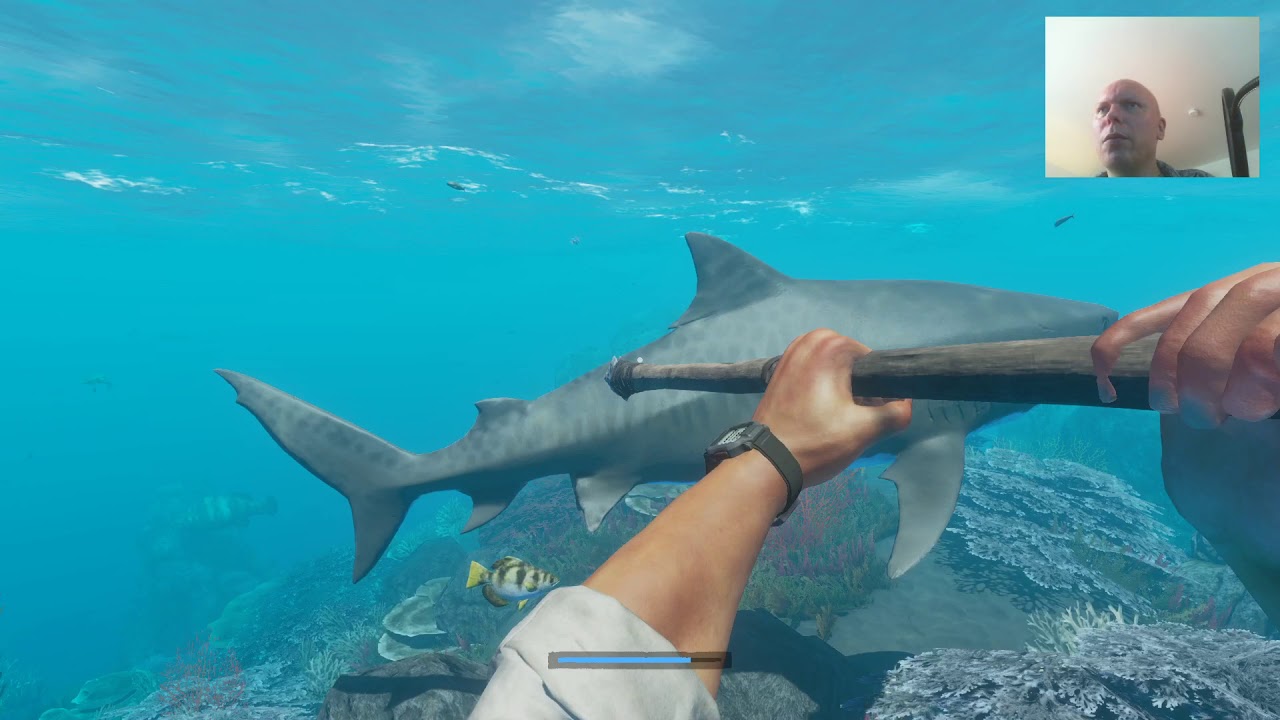Stranded deep 57 Hai und Holz