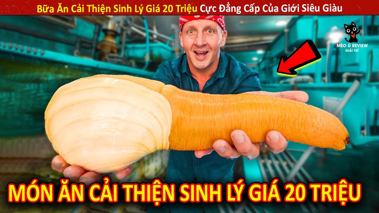 Bữa Ăn Cải Thiện Sinh Lý Giá 20 Triệu Cực Đẳng Cấp Của Giới Siêu Giàu || Review Giải Trí Đời Sống