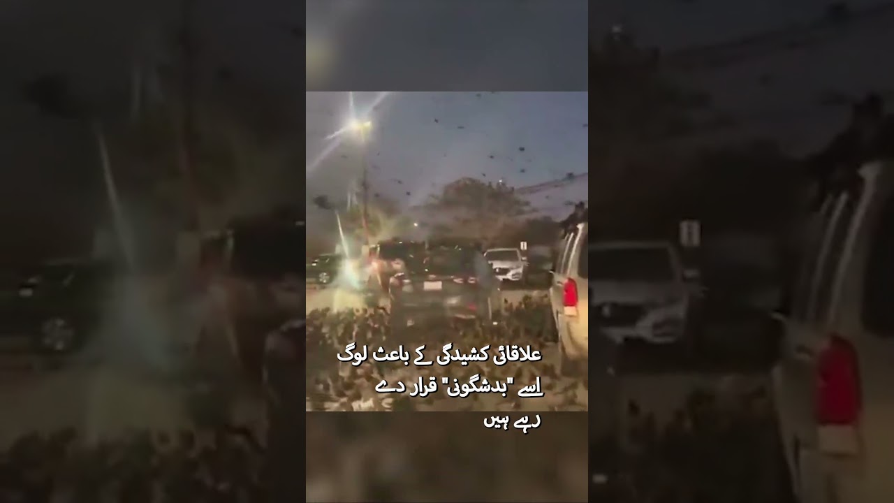 Thousands of Crows Swarm Tel Aviv! Biblical &lsquo;Harbinger of Doom&rsquo; Fears Go Viral #shorts