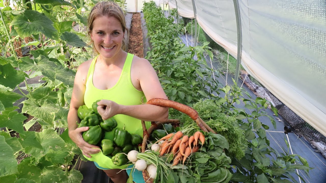 Family of 5 Lives Off FRONT YARD GARDEN | Growing Abundance during Food Shortages