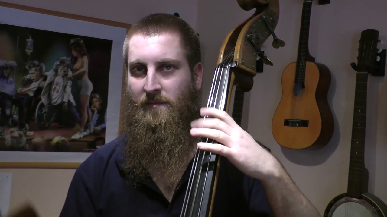 Dünen Grass -  String Band              Paples Blue
