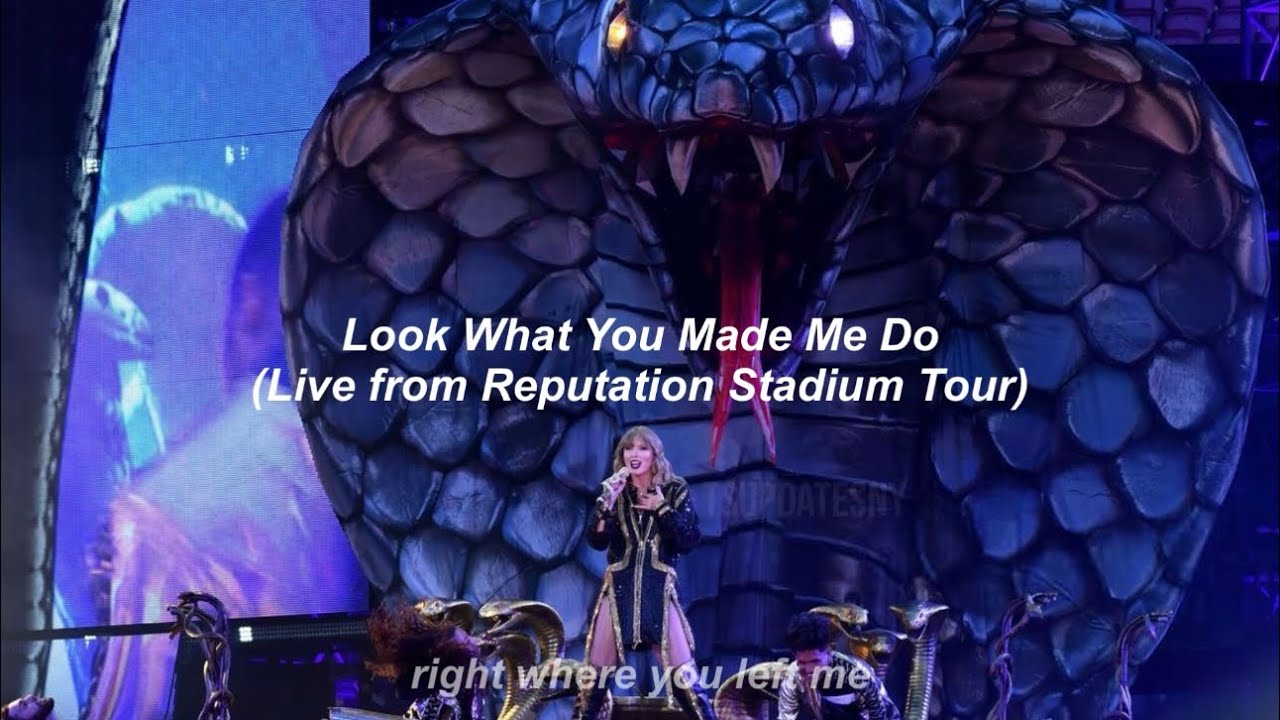 Taylor Swift - Look What You Made Me Do (Live from Reputation Stadium Tour) // Türkçe Çeviri