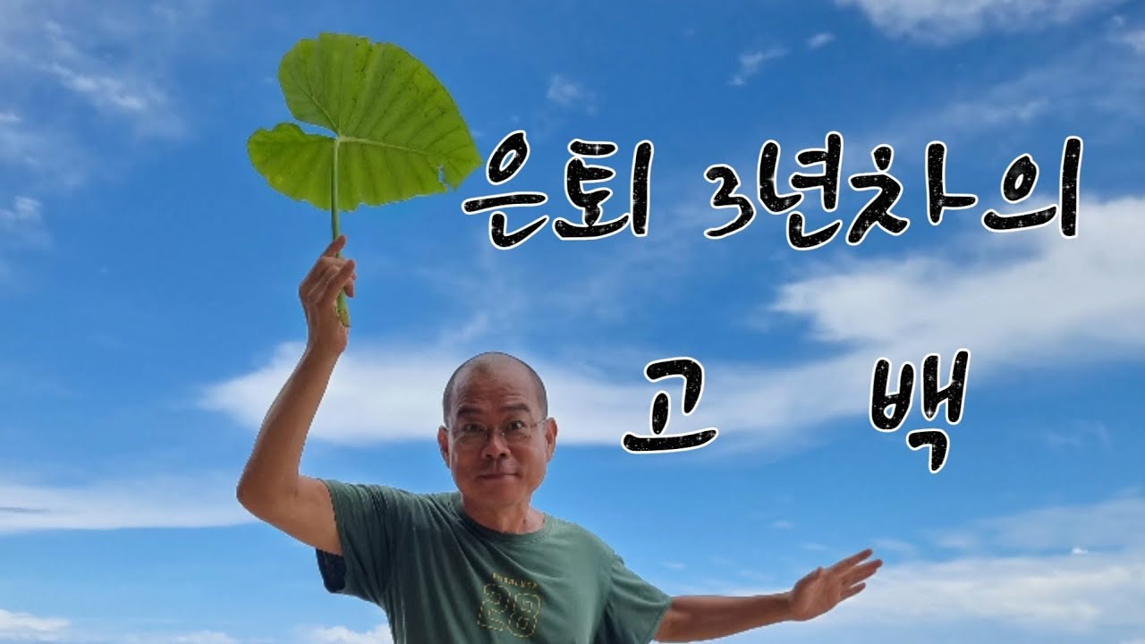 은퇴 3년차의 고백 