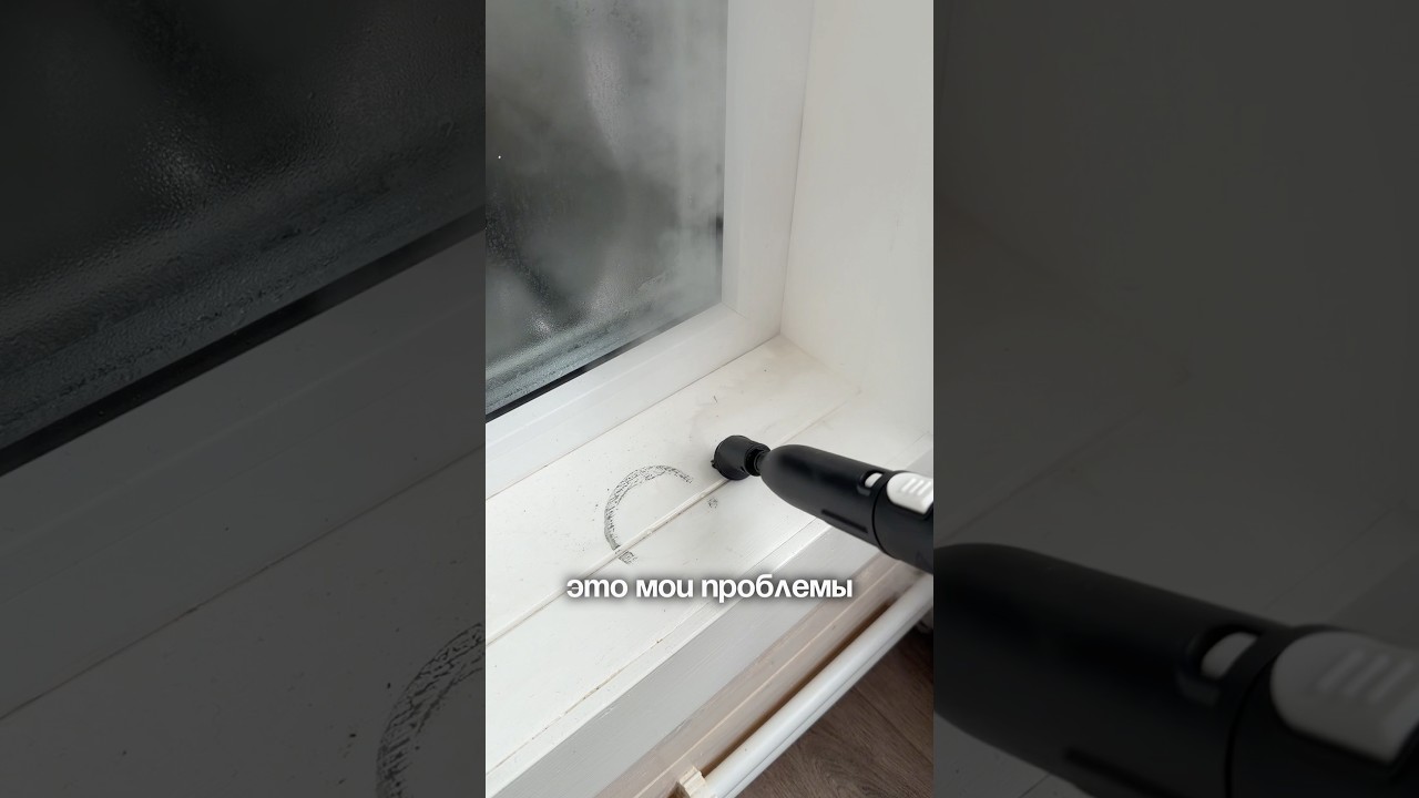 Ну правда же?  ПароочистительОзон 3118198114ЯМ 4776003266ВБ 495634707