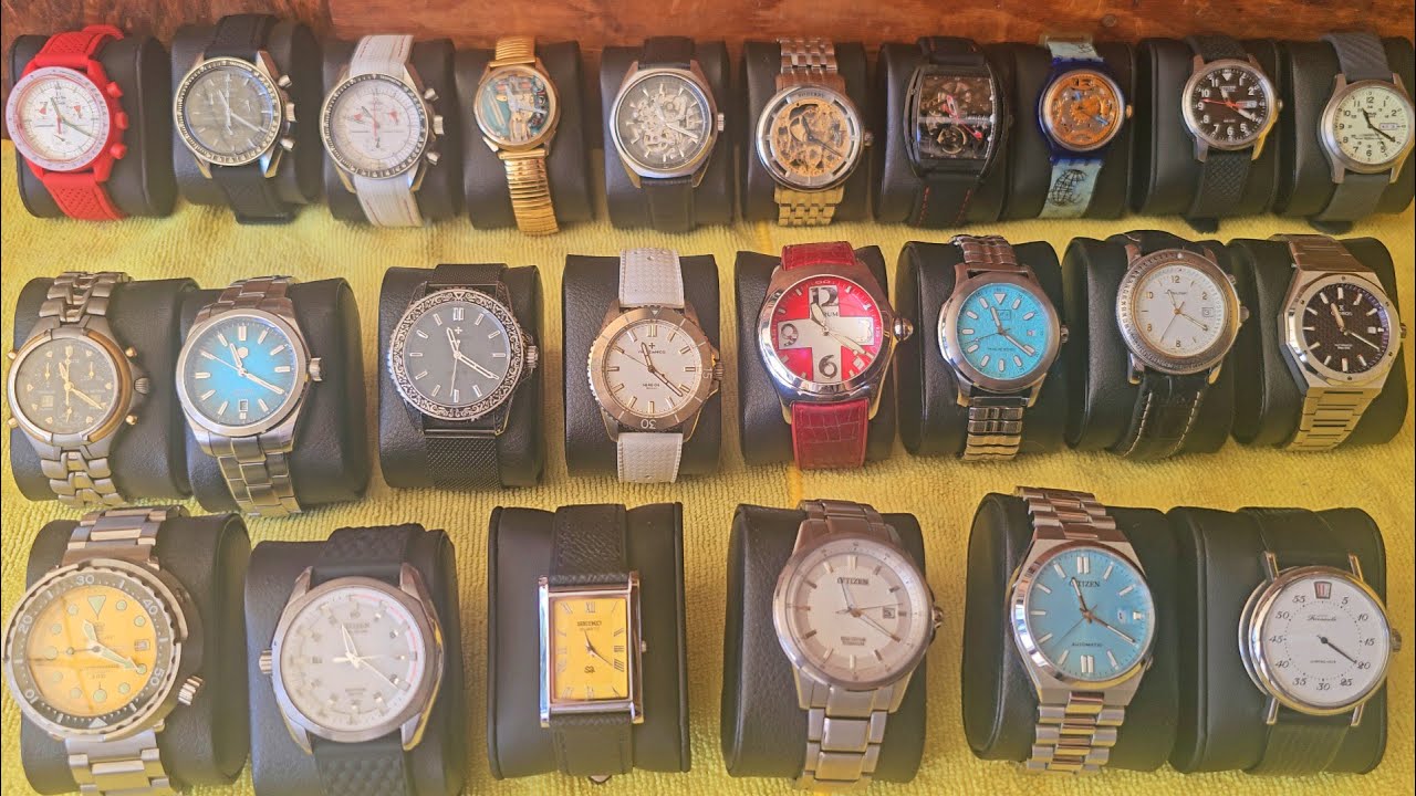 SOTC State of the Watch Collection