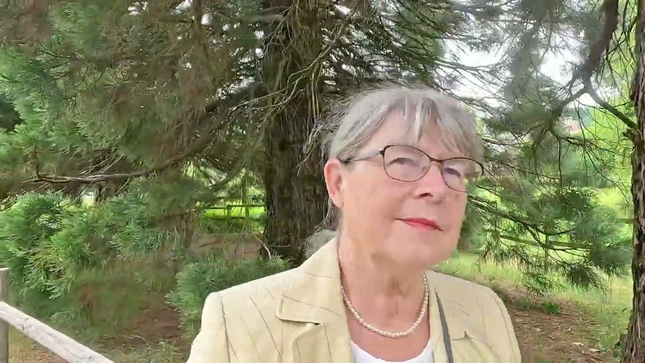 Fontänenpark Bad Soden Salmünster