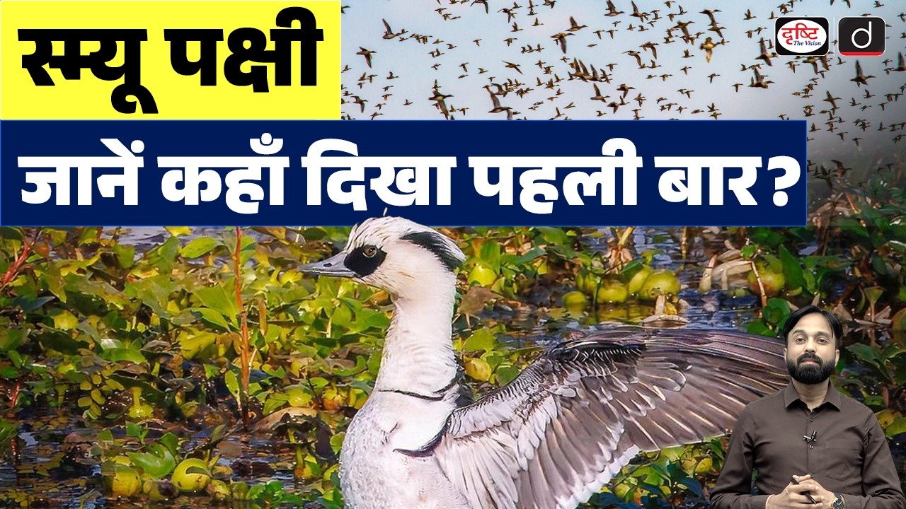 Smew Bird Spotted for the First Time in Kaziranga  | Current News | Drishti IAS