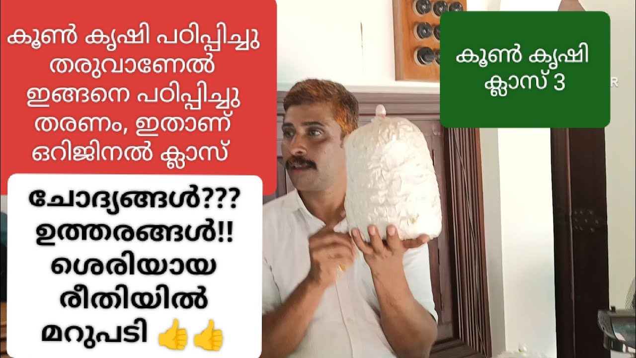 കൂൺ കൃഷി. ക്ലാസ് 3#mushroom krishi