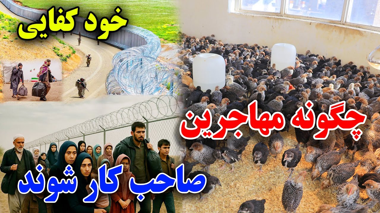 زمینه سازی کار برای مهاجرین دیپورتی/تجارت کوچک را از صفر شروع کنید/ghazanfari