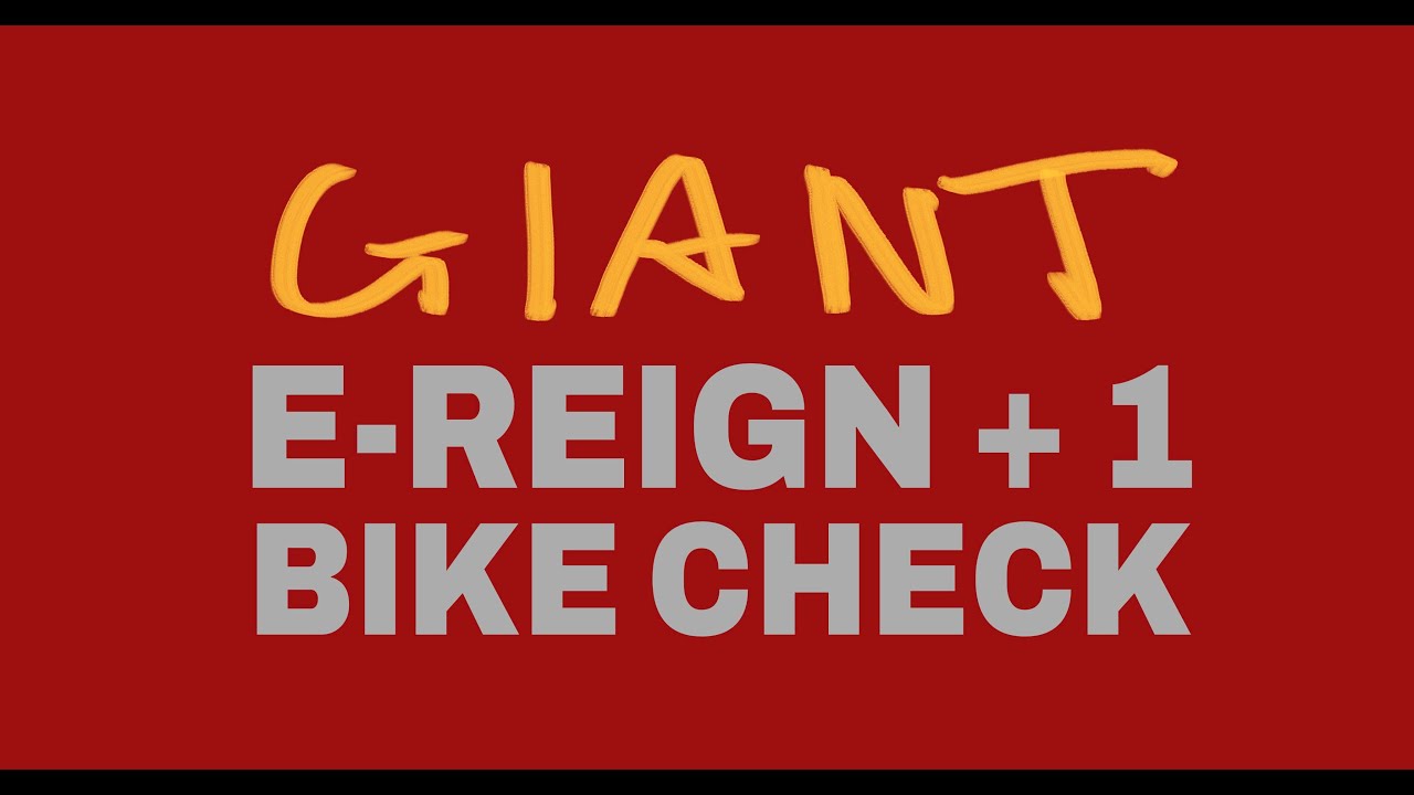 ROB WARNER'S  DREAM BUILD GIANT REIGN E BIKE CHECK