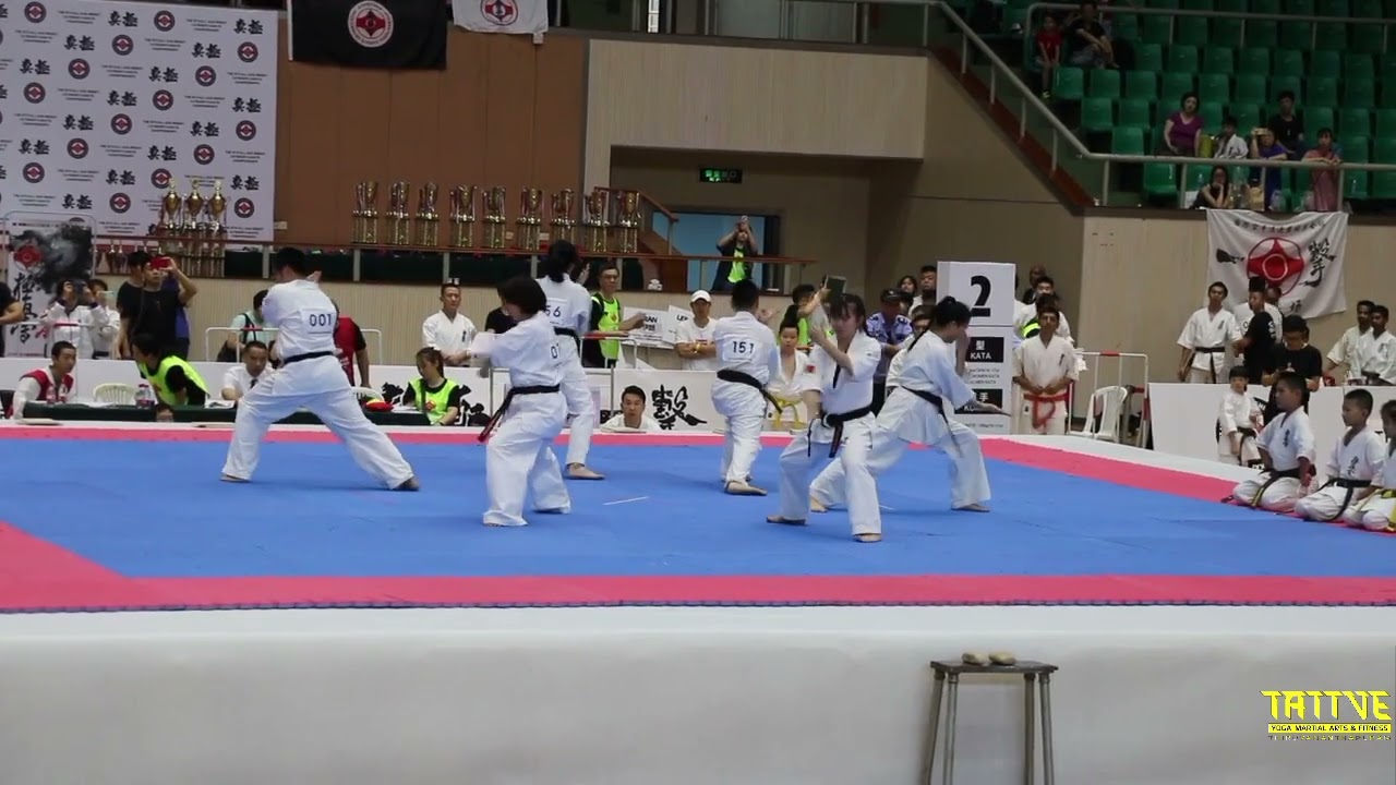 KYOKUSHIN DEMONSTRATION 