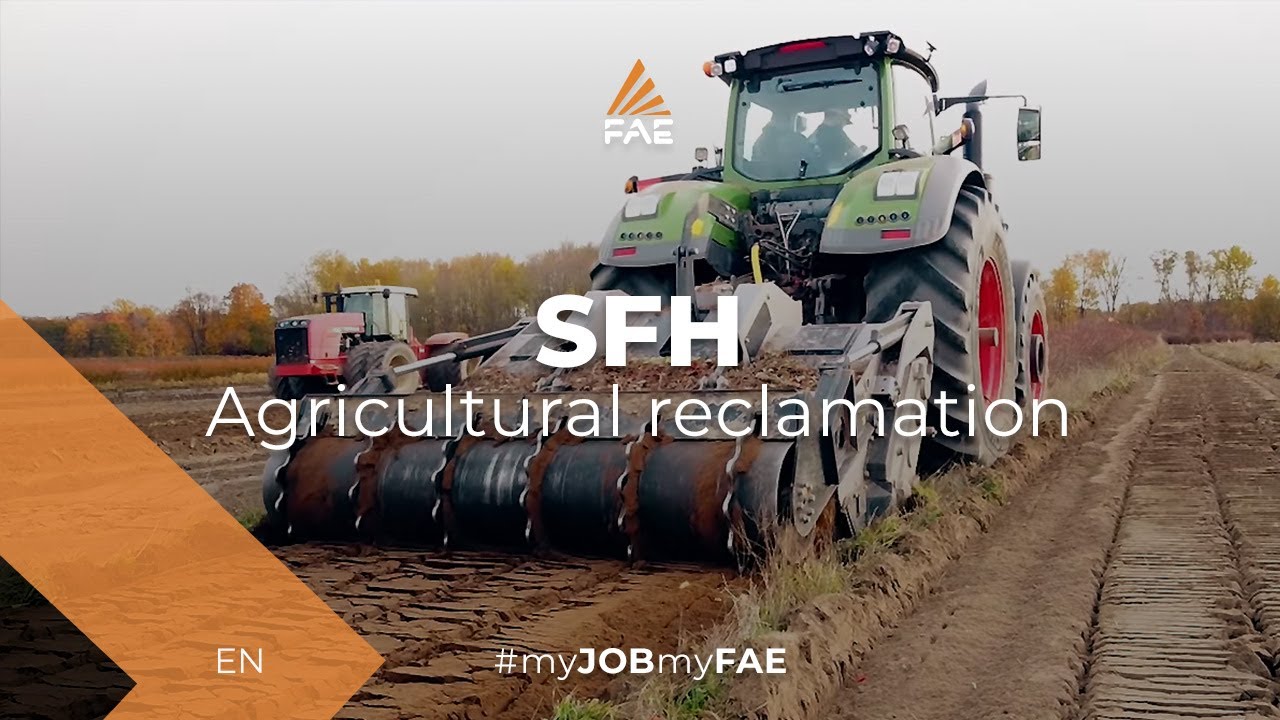 FAE SFH-250 Forestry mulcher, forestry tiller, and stone crusher in a single head for tractors