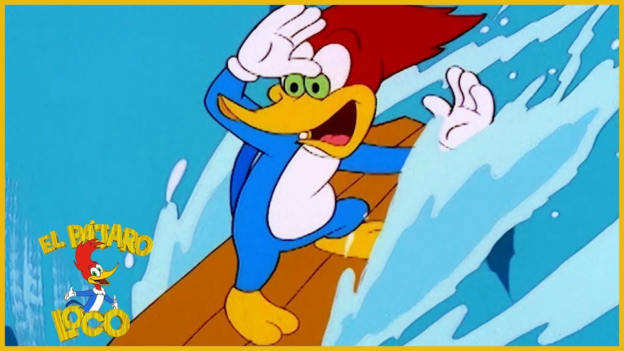 El Pájaro Loco en Español | Surfeando con Meany | Dibujos Animados en Español