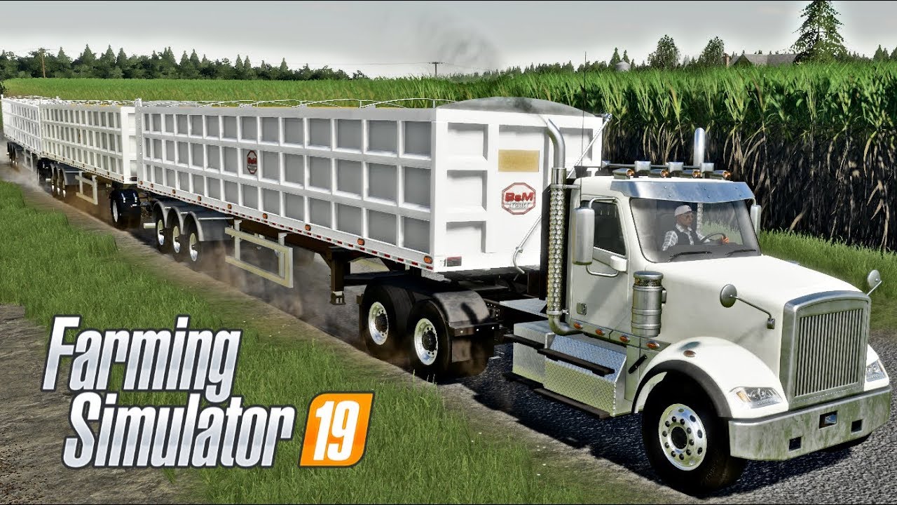 SELLING CORN WITH 3 BSM TRAILERS! (bad idea) | Lone Oak - Farming Simulator 19