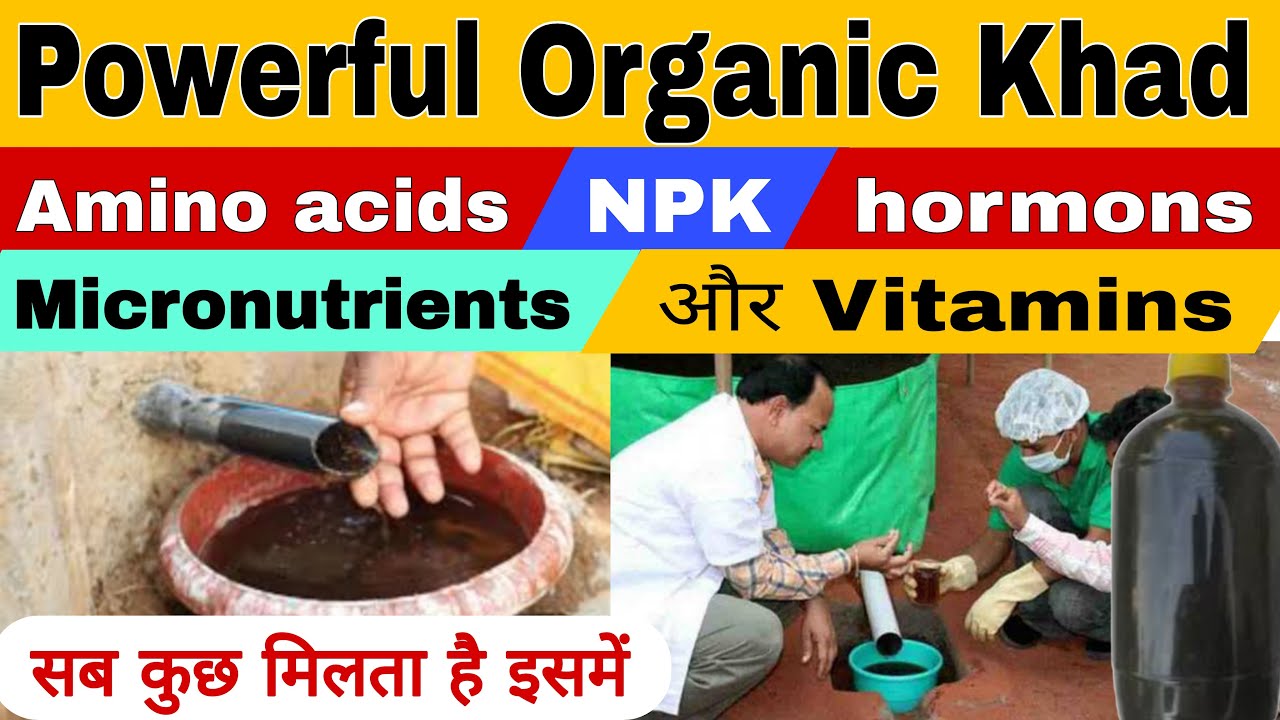 powerful Organic Khad | it also prevent fungus and also prevent insect | vermiwash |