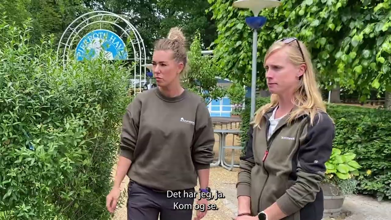 Få inspiration og gode råd til den nye have