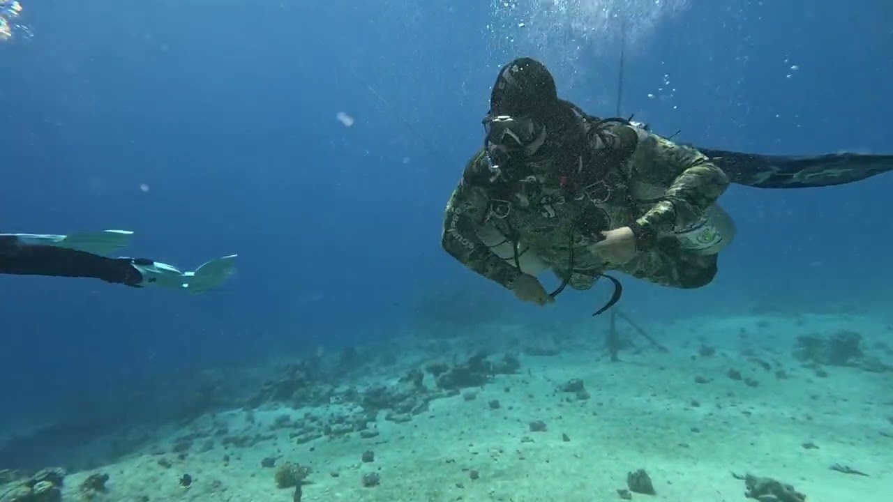 Den 6 Tanky a reef