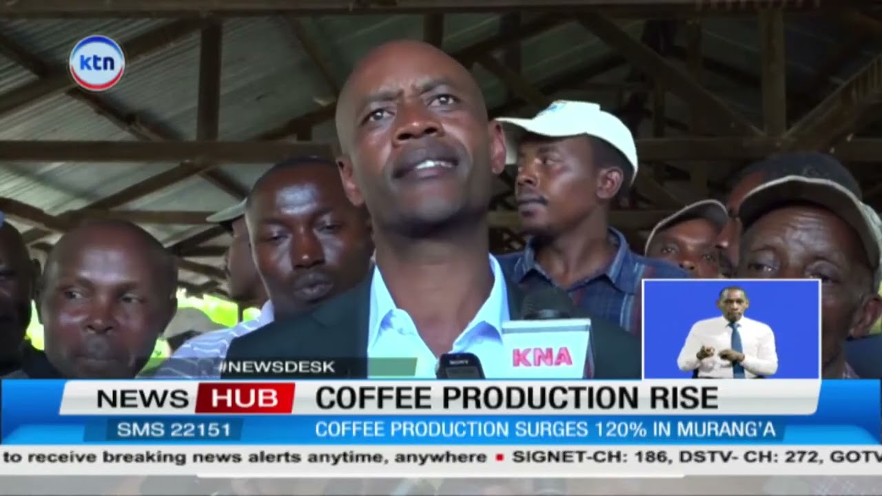 From 700,000 to 1.6 Million Kilos:: Murang’a farmers smile as coffee quality improves