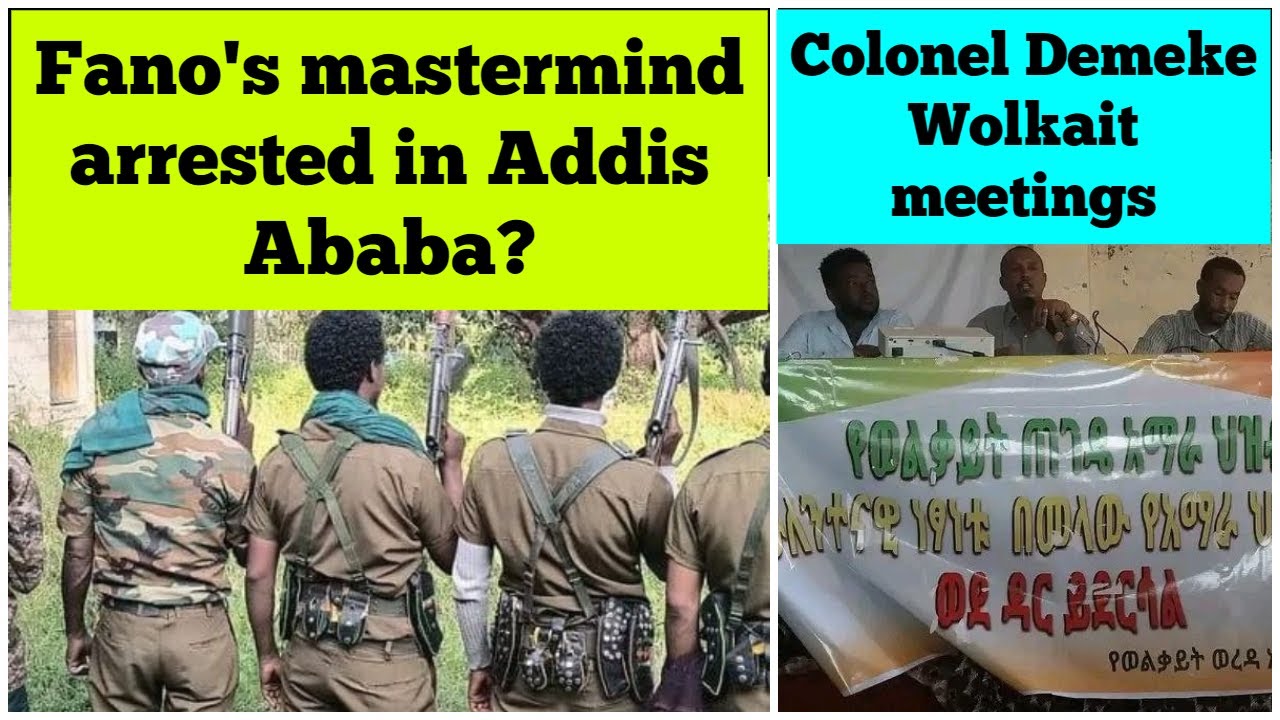 Fano's mastermind arrested in Addis Ababa? | Colonel Demeke Zewdu Wolkait meetings | Meskel Demera