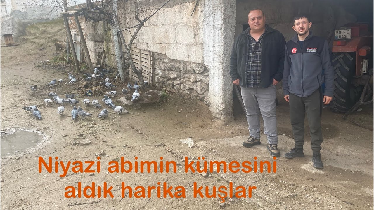 Nevşehir niyazı abimin kümesini aldık mahsendem hepsi mezata çıkacak 