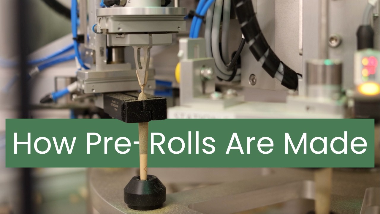 How Pre-Rolls Are Made: Inside Our Precision Filling & Quality Control Process