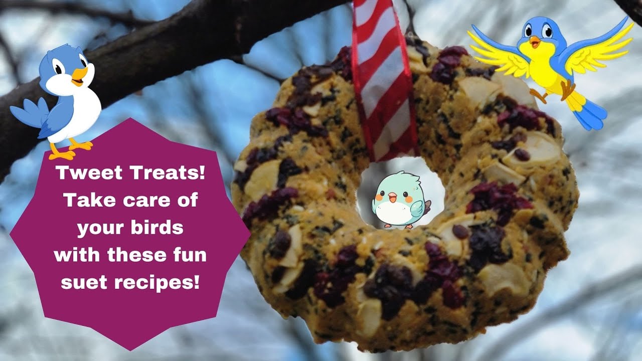 DIY- How to make suet to feed the birds