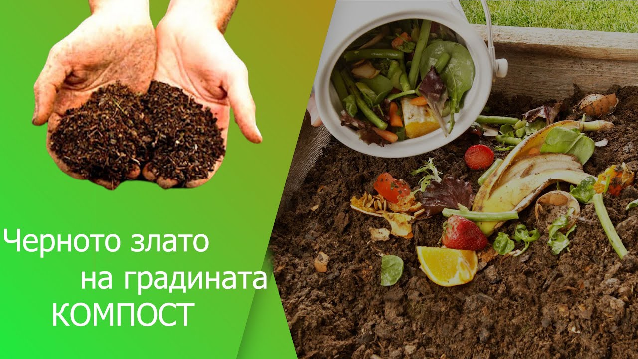 Черното злато на градината КОМПОСТ