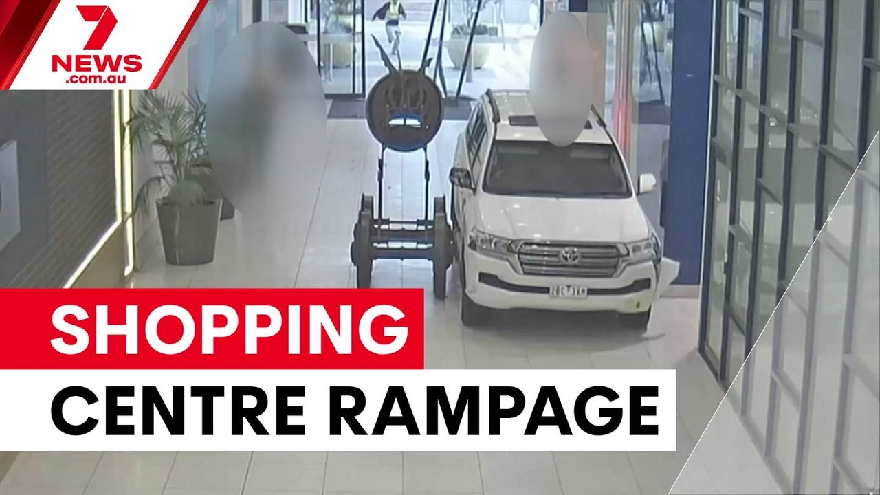 Признание вины по делу о погроме в торговом центре Northland | 7NEWS