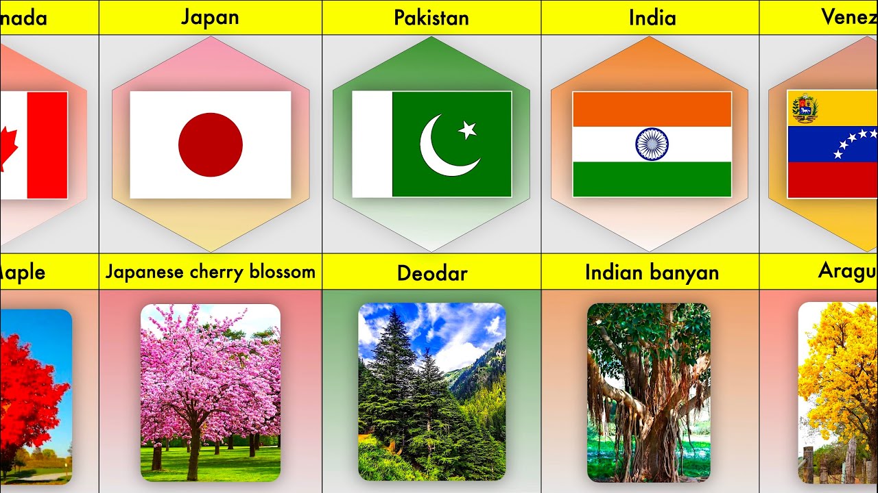National Tree of different countries | National Tree Comparison | list of National trees