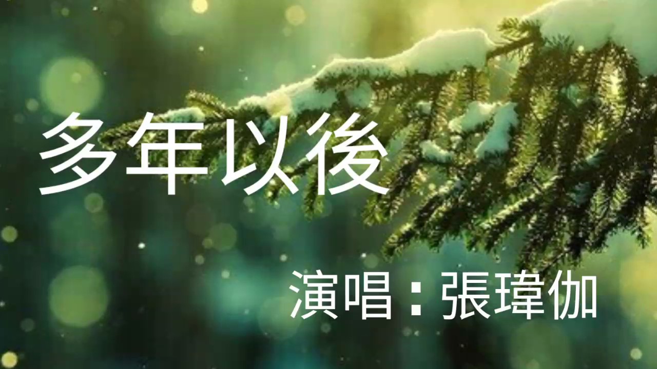 《
多年以後》演唱 : 張瑋伽   (原唱 : 
姜育恆)