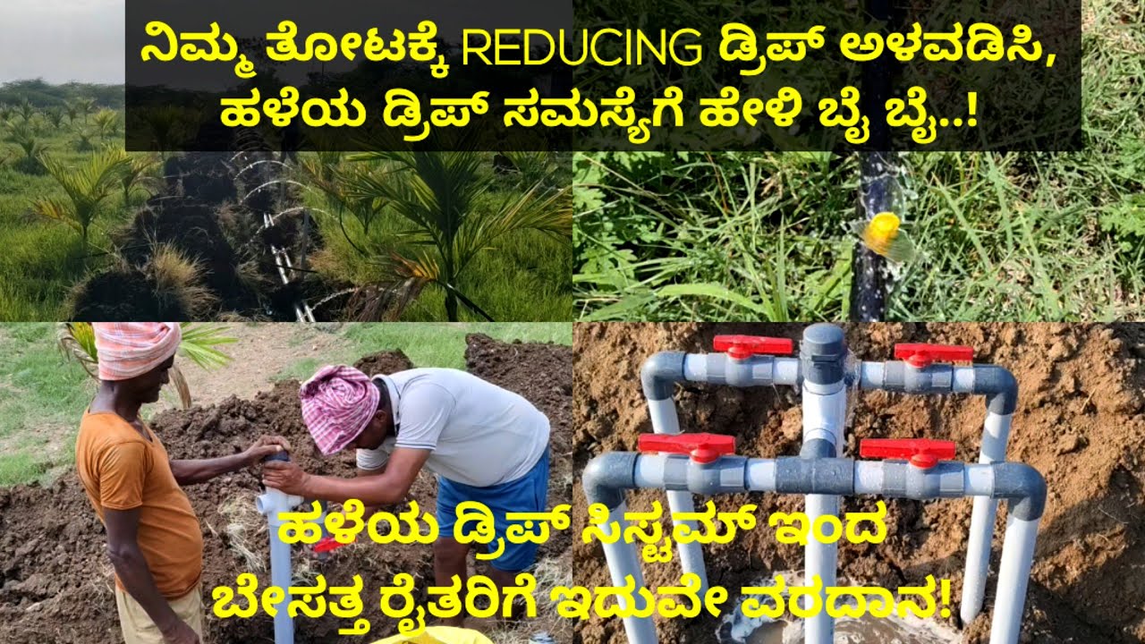 ಇದು ಅತ್ಯಂತ ಸುಧಾರಿತ ಹನಿ 💦ನೀರಾವರಿ ವ್ಯವಸ್ಥೆ|ಇದನ್ನು ಅಳವಡಿಸಿದರೆ ರೈತನಿಗಿಲ್ಲ ನೀರಿನ ಚಿಂತೆ! D.Lingappa