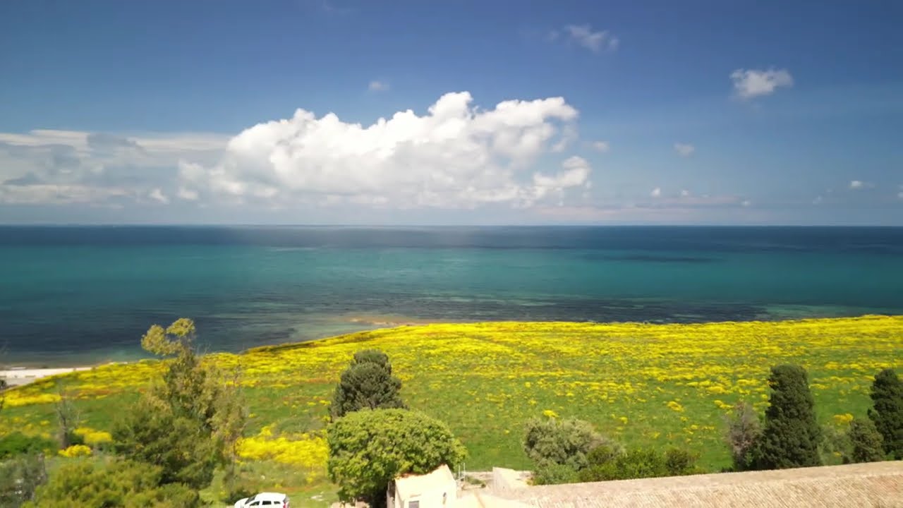 Drone view of Sicilian Seaside Sanctuary surrounded by fields of flowers
