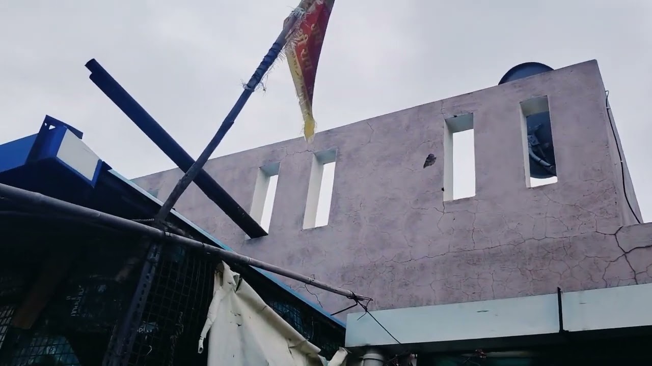 My Loft /My Pigeons New Update //Madrasi Pigeons //Naya Baccha Ki Ankh Kali Hai