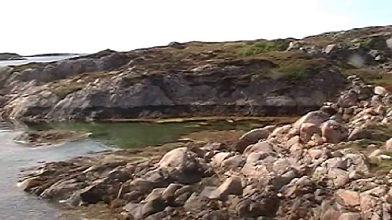 Hitra, Frøya og Halten 2013