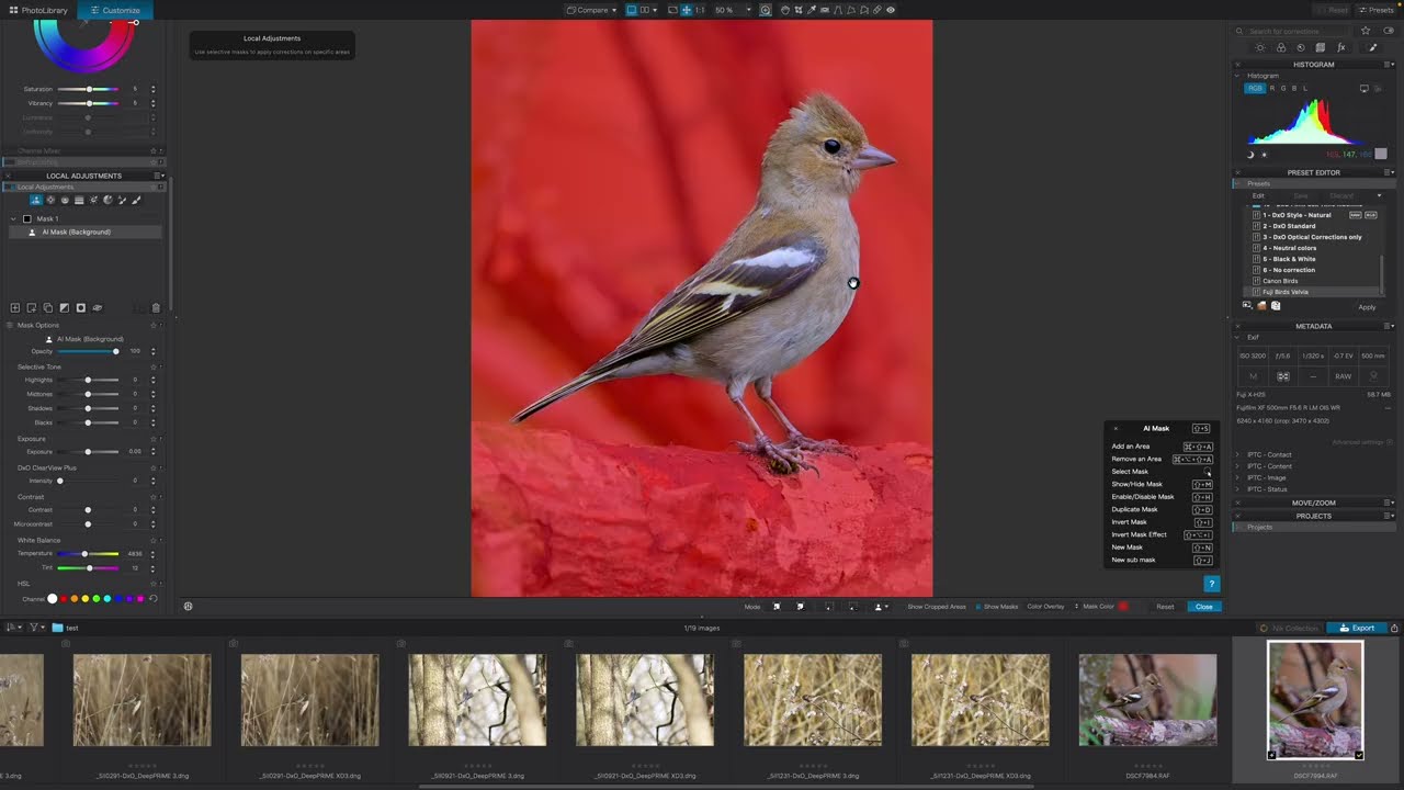 DxO PureRAW 6 is Here! (Canon R5ii Fujifilm X-H2S)