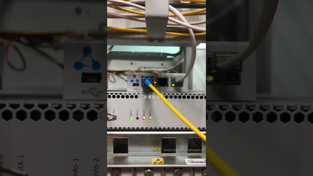 Оптический мультиплексор ToPGATE-1E1-1FG Eltex. Видео[Охота] на eltexcm.ru