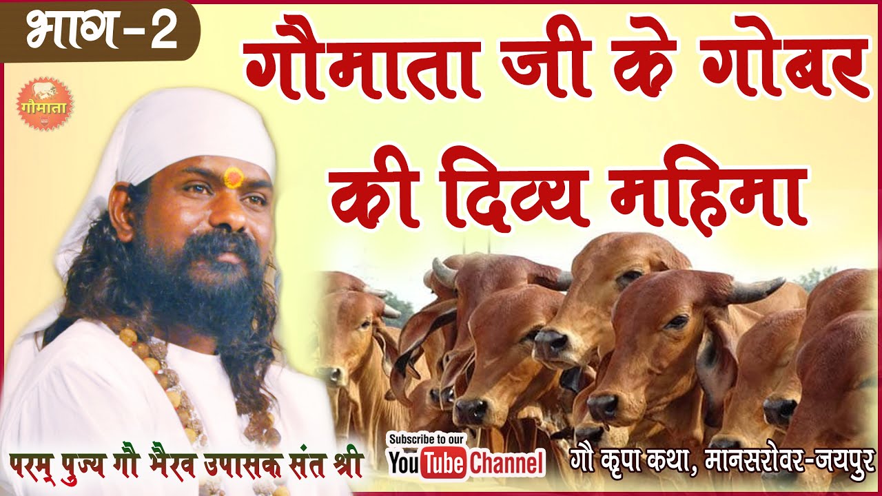 गौमाता जी के गोबर की दिव्य महिमा (भाग 2) Pujya Gau Bhairav Upasak Sant Shri Jagdish Gopal Ji Maharaj