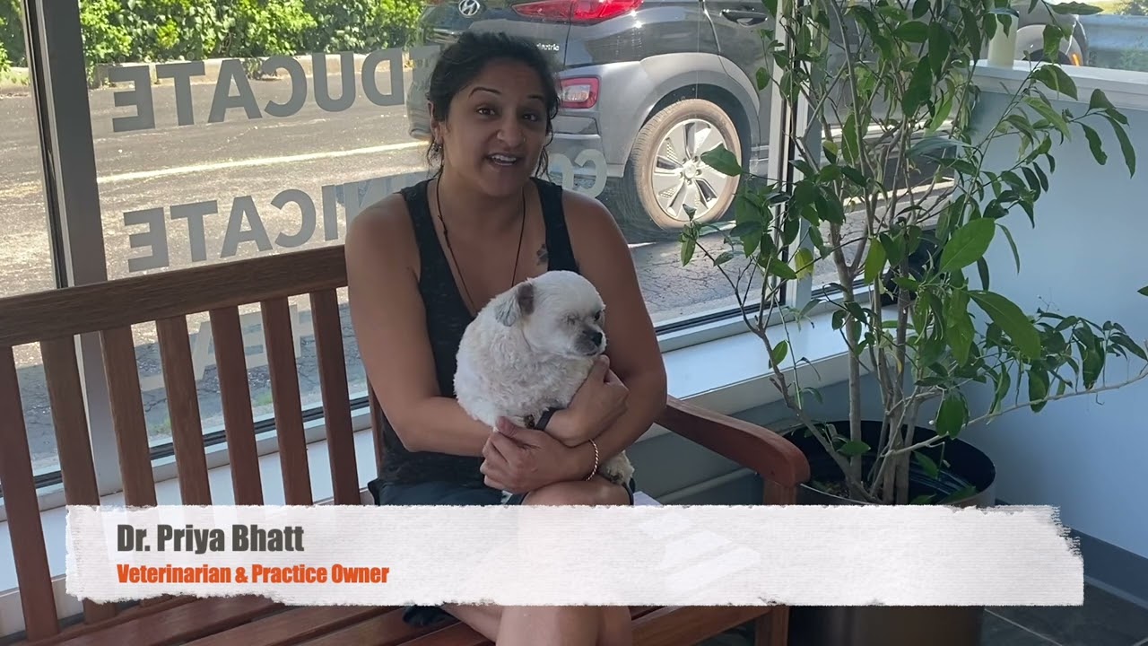 Meet The Bhatt Integrative Veterinary Specialty Team