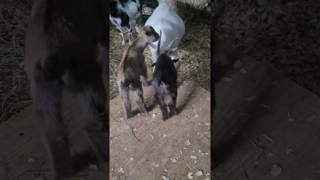 Капля воды для малышей