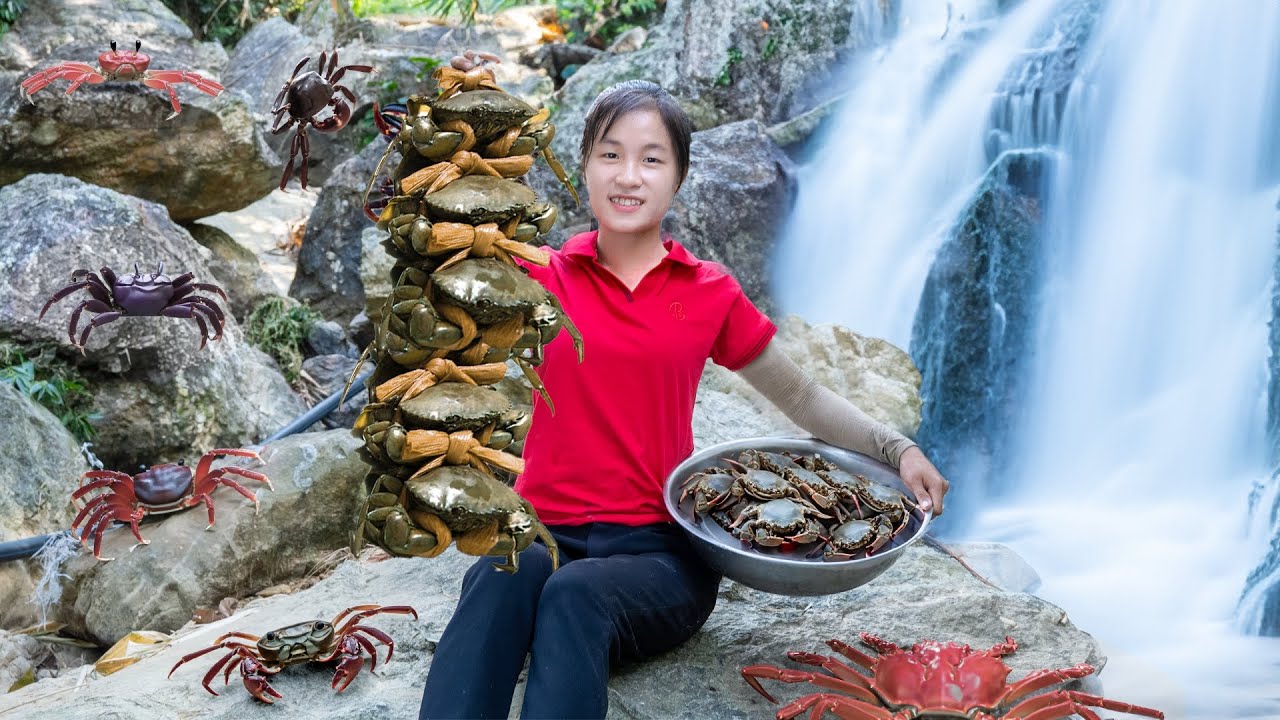 Harvest FIELD CRAB - Cook Crab Deliciously - Harvest and sell | Ella Daily Life