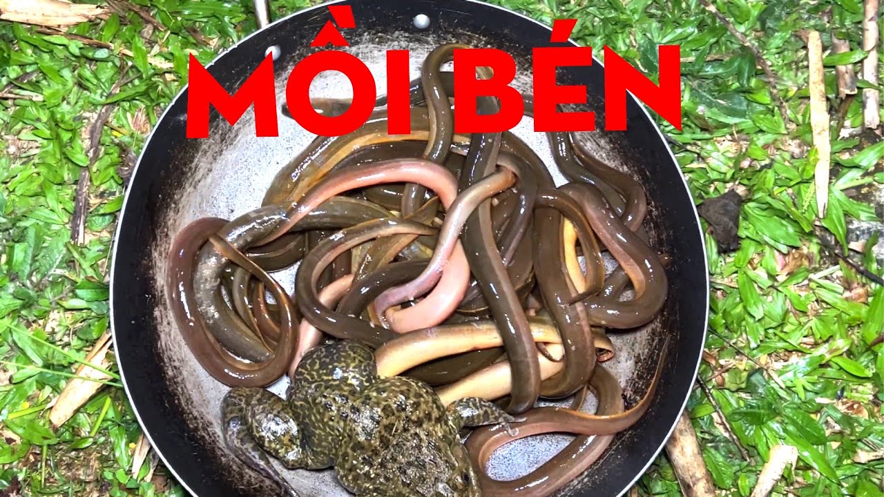 MỒI BÉN TRONG RỪNG-TỰ THỢ RỪNG