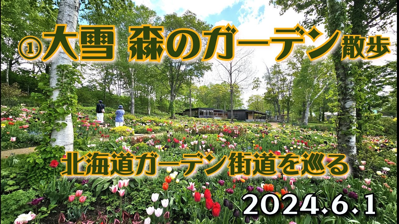 【北海道ガーデン街道】①大雪 森のガーデン 散策　2024年6月1日