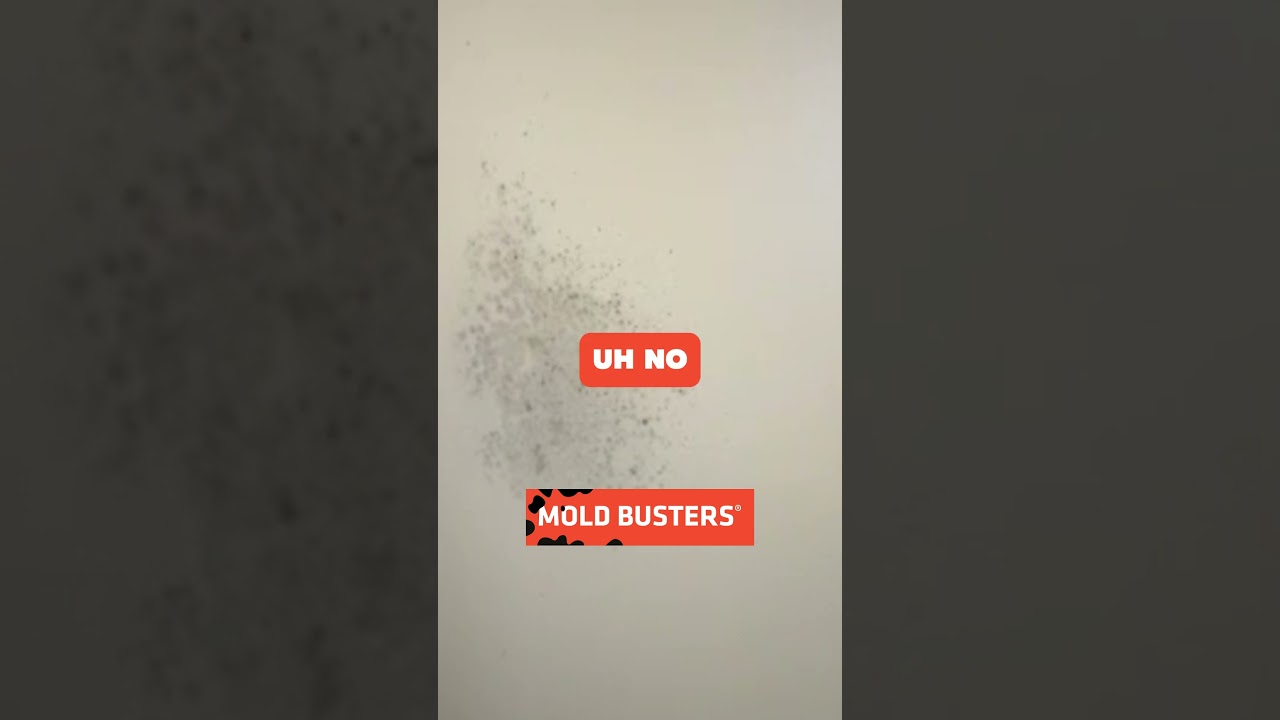 🚀 Virtual Inspection Uncovers Hidden Mold Behind Fridge! 🏡🦠