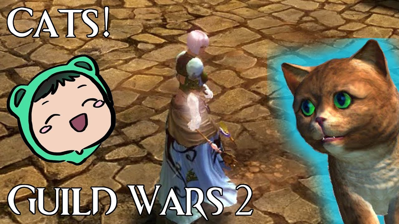 CATS IN THE HOME INSTANCE | Guild Wars 2