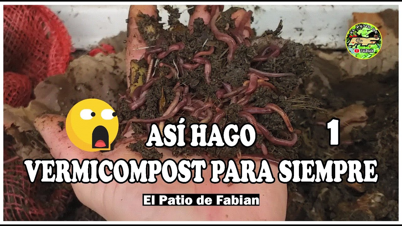 VERMICOMPOSTERA INFINITA Cosecha de Lombrices