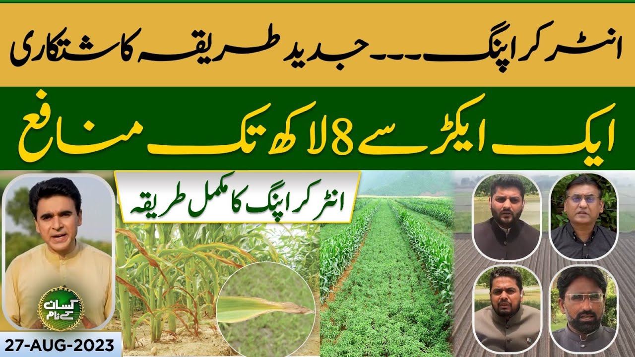 Intercropping model | Earn 8 lakh rupees from 1acre of land | Kissan Kay Naam | EP 33