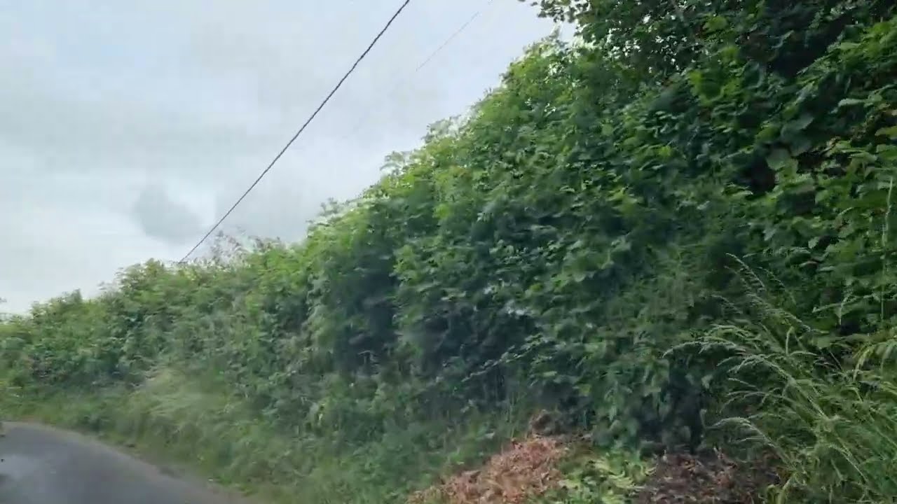 Road Trip UK 🇬🇧 | Driving To Fillongley Via A Countryside Road | UK Countryside Roads | Warwickshire